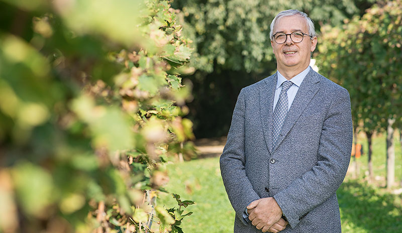 Technischer Leiter der Kellerei: Filippo Pedron (Foto)