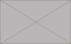Employees 2016-2014