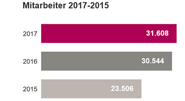 Segmentanteil am Gesamtumsatz 2016